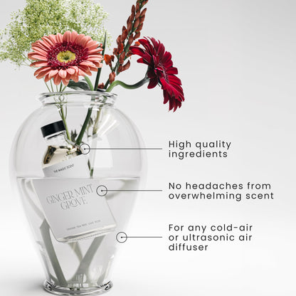 The Magic Scent Ginger Mint Grove Diffuser Oil - Luxury Hotel & Home Scents - 4 oz (120 mL)