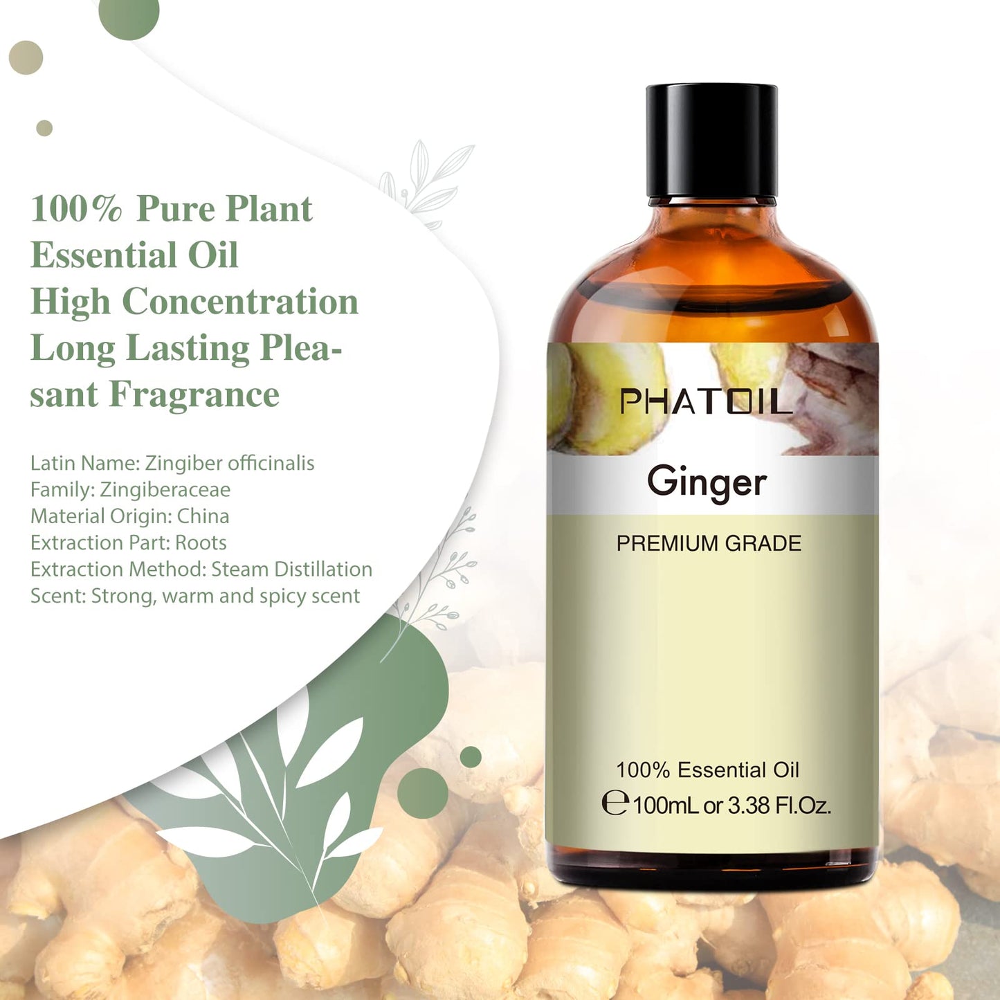 Ginger Essential Oil 100ml | PHATOIL Aromatherapy for Diffusers & DIY