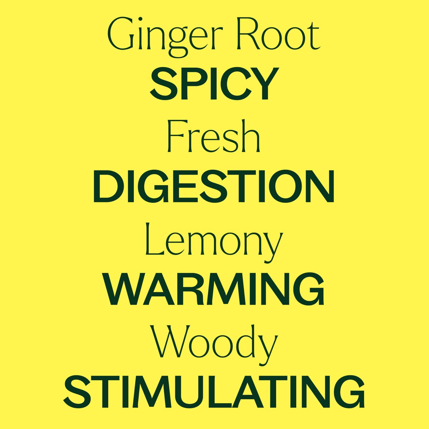Plant Therapy Ginger Root CO2 Essential Oil - 100% Pure, Therapeutic Grade (10 mL)
