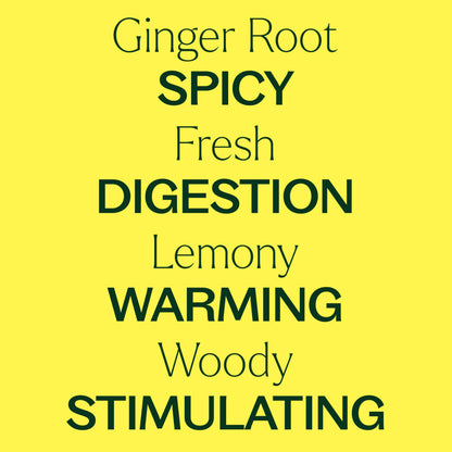 Plant Therapy Ginger Root CO2 Essential Oil - 100% Pure, Therapeutic Grade (10 mL)