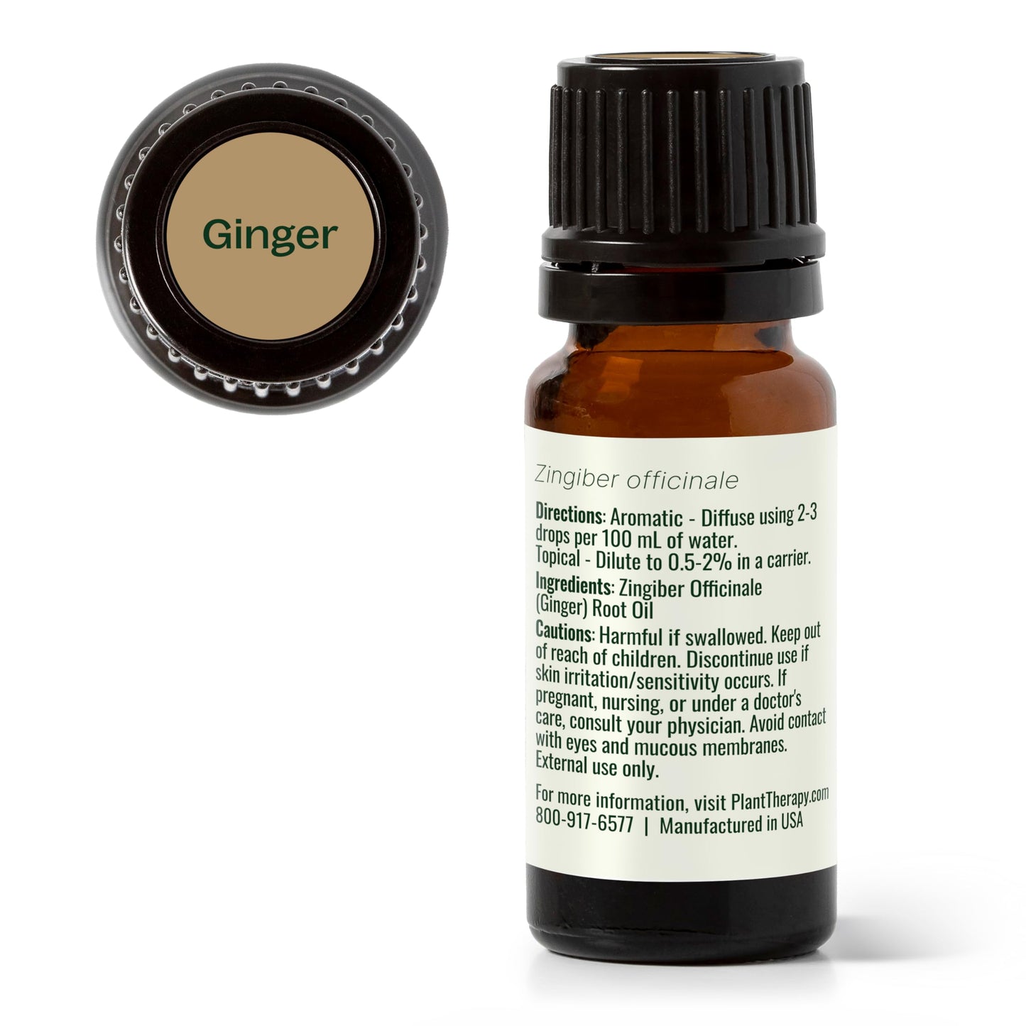 Plant Therapy Ginger Steam Distilled Essential Oil 10 mL (1/3 oz) 100% Pure, Undiluted, Natural Aromatherapy