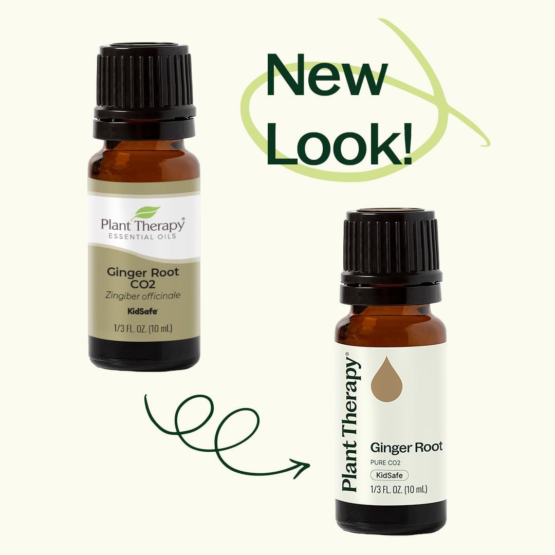 Plant Therapy Ginger Root CO2 Essential Oil - 100% Pure, Therapeutic Grade (10 mL)