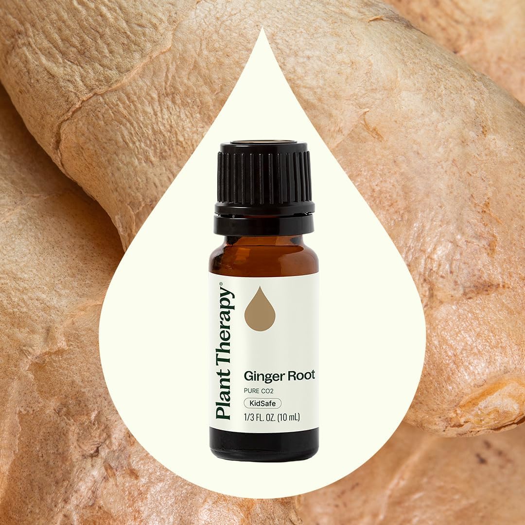 Plant Therapy Ginger Root CO2 Essential Oil - 100% Pure, Therapeutic Grade (10 mL)