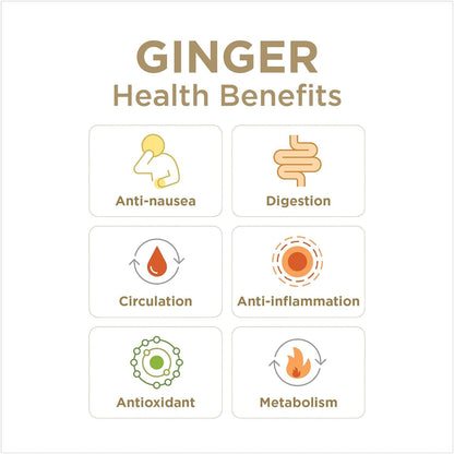 Ginger Rescue Chewables – Drug Free Digestive Health
