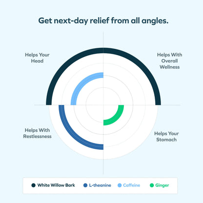 Cheers Relief – Next Morning Aid with Ginger, Willow Bark, L-Theanine & Caffeine | 12 Doses