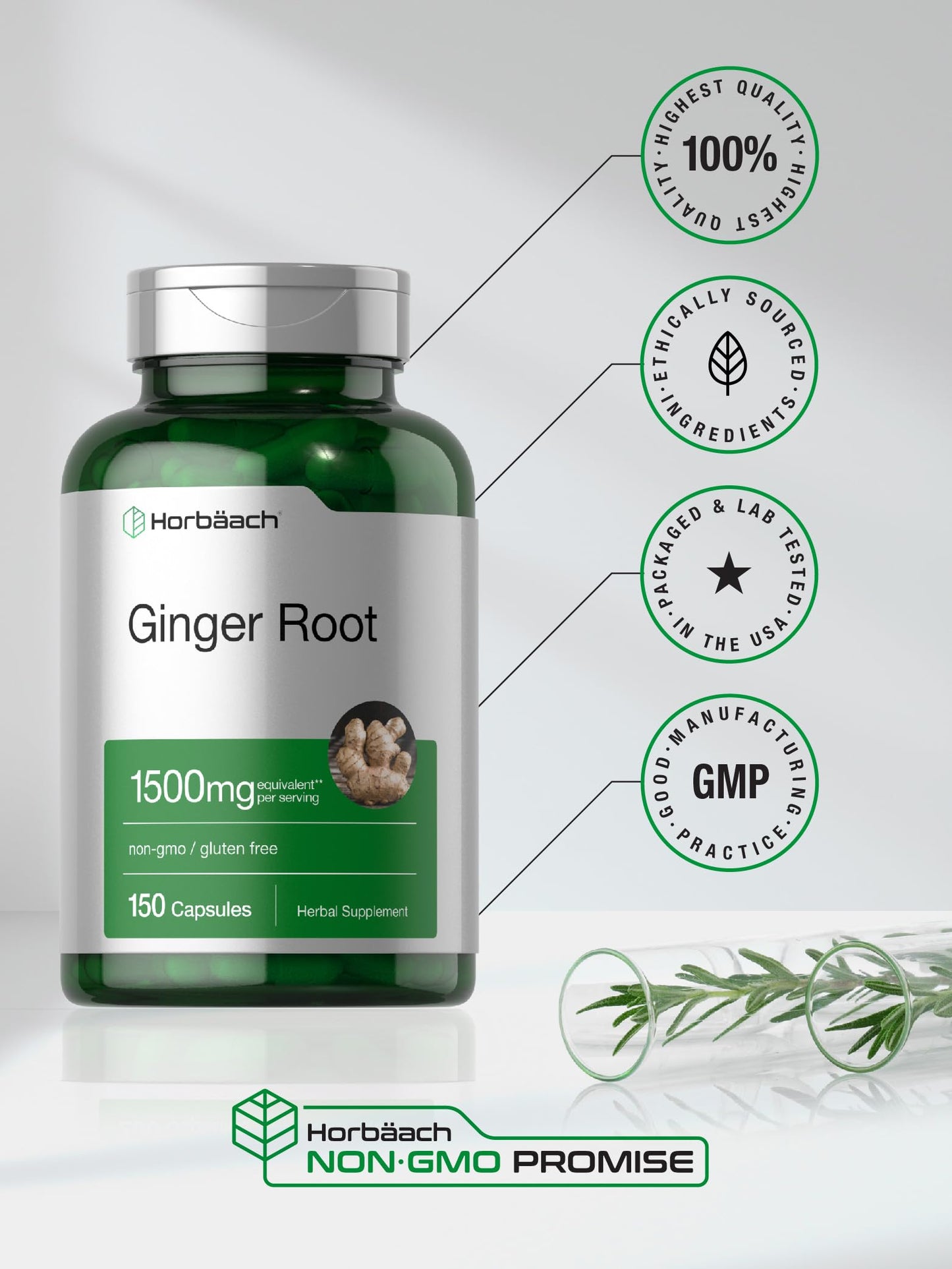 Horbäach Ginger Root Capsules 1500 mg | 150 Pills | Non-GMO, Gluten Free | Ginger Root Extract (Pack of 2)