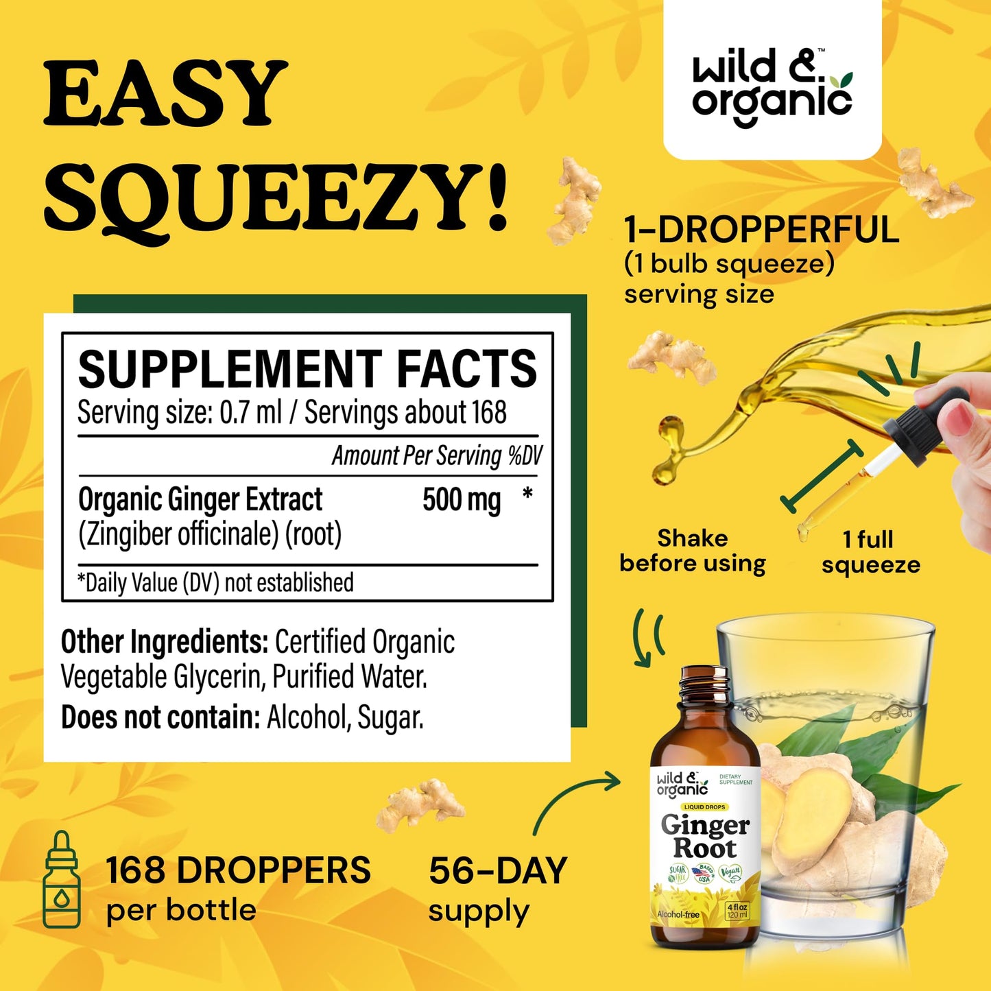 Wild & Organic Ginger Root Extract Drops - Immune & Digestive Support | Vegan, Sugar & Alcohol-Free 4 fl oz