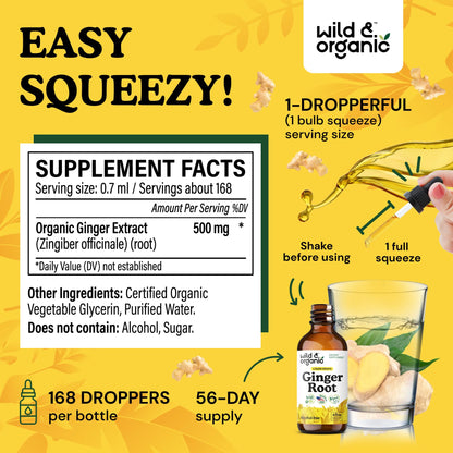 Wild & Organic Ginger Root Extract Drops - Immune & Digestive Support | Vegan, Sugar & Alcohol-Free 4 fl oz