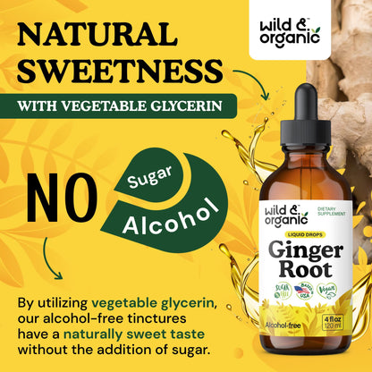 Wild & Organic Ginger Root Extract Drops - Immune & Digestive Support | Vegan, Sugar & Alcohol-Free 4 fl oz