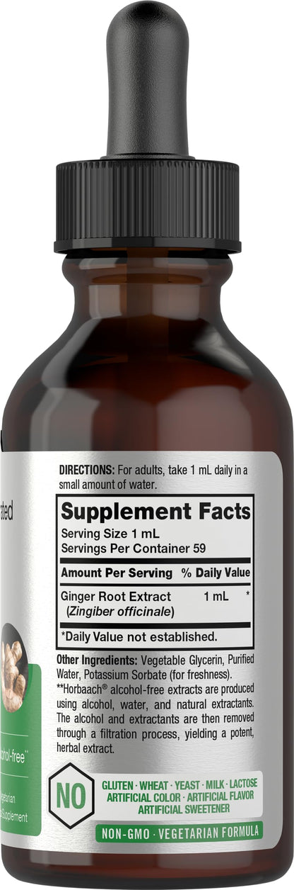 Horbäach Ginger Root Liquid Extract - 2 oz | Alcohol-Free, Gluten-Free, Non-GMO, Vegetarian