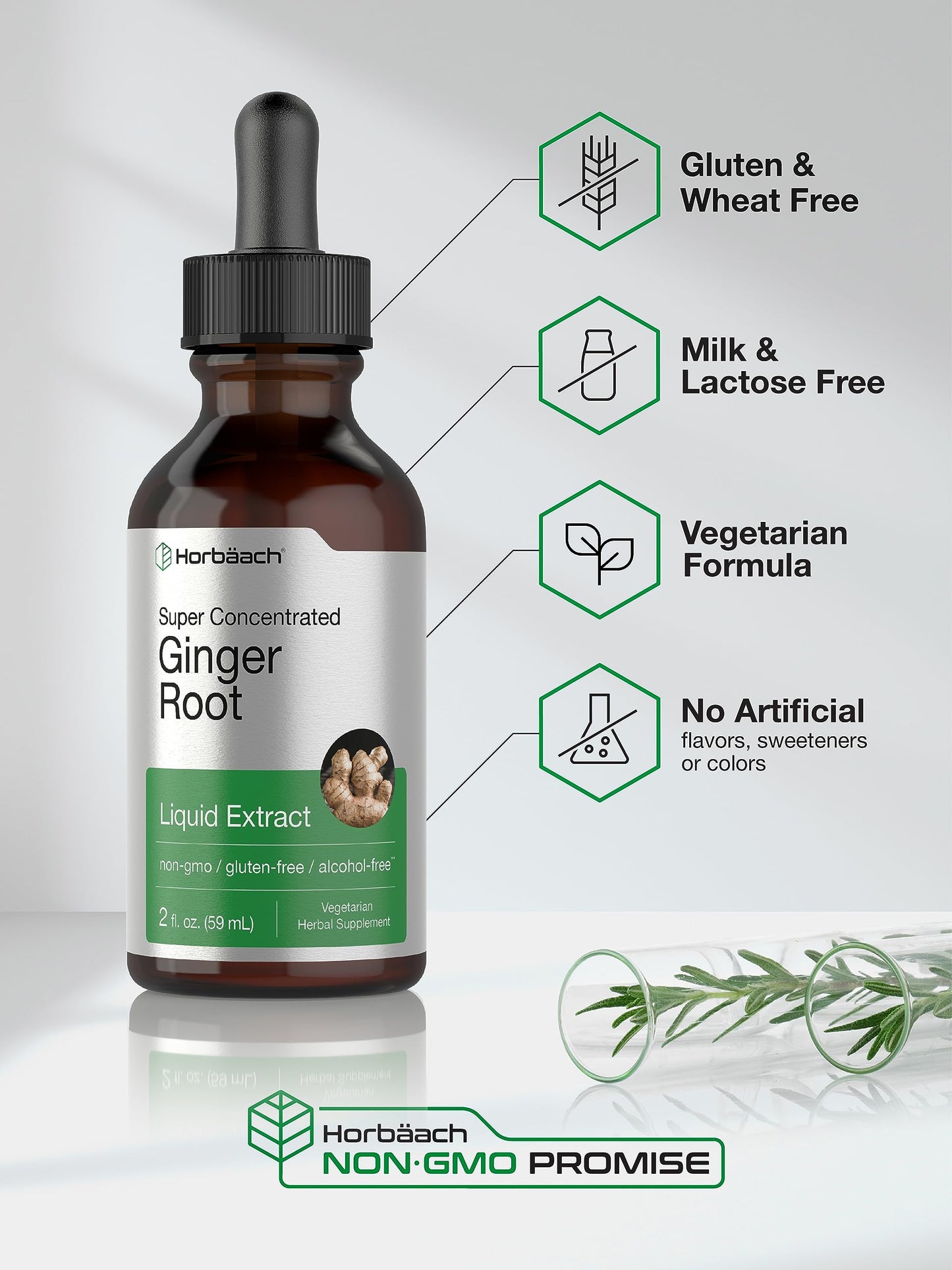 Horbäach Ginger Root Liquid Extract - 2 oz | Alcohol-Free, Gluten-Free, Non-GMO, Vegetarian