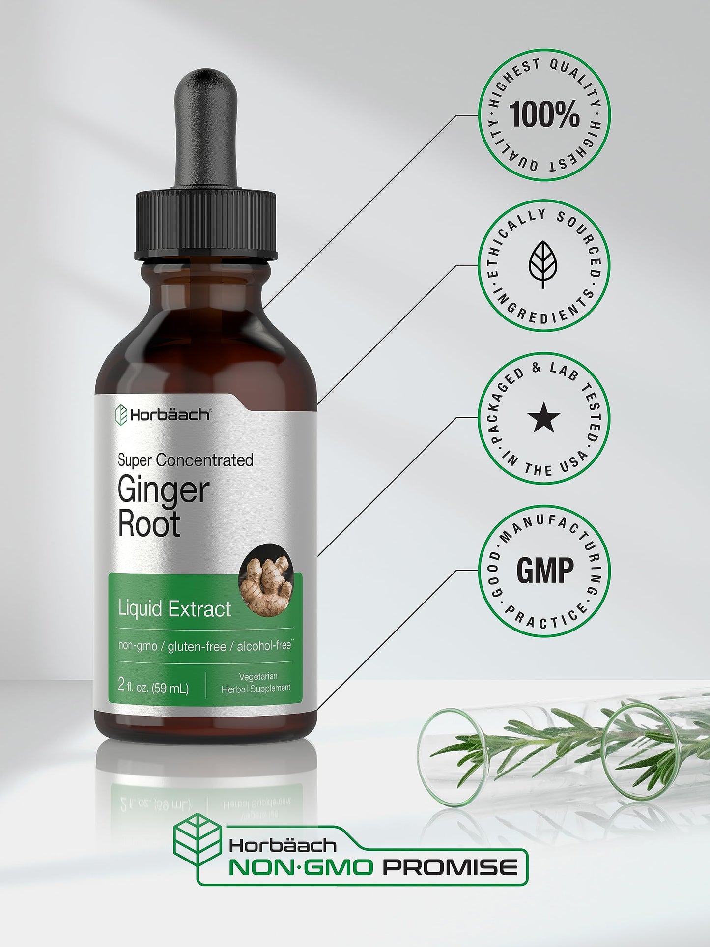 Horbäach Ginger Root Liquid Extract - 2 oz | Alcohol-Free, Gluten-Free, Non-GMO, Vegetarian