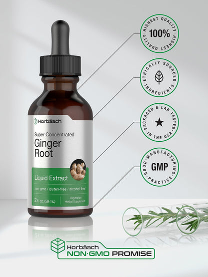 Horbäach Ginger Root Liquid Extract - 2 oz | Alcohol-Free, Gluten-Free, Non-GMO, Vegetarian