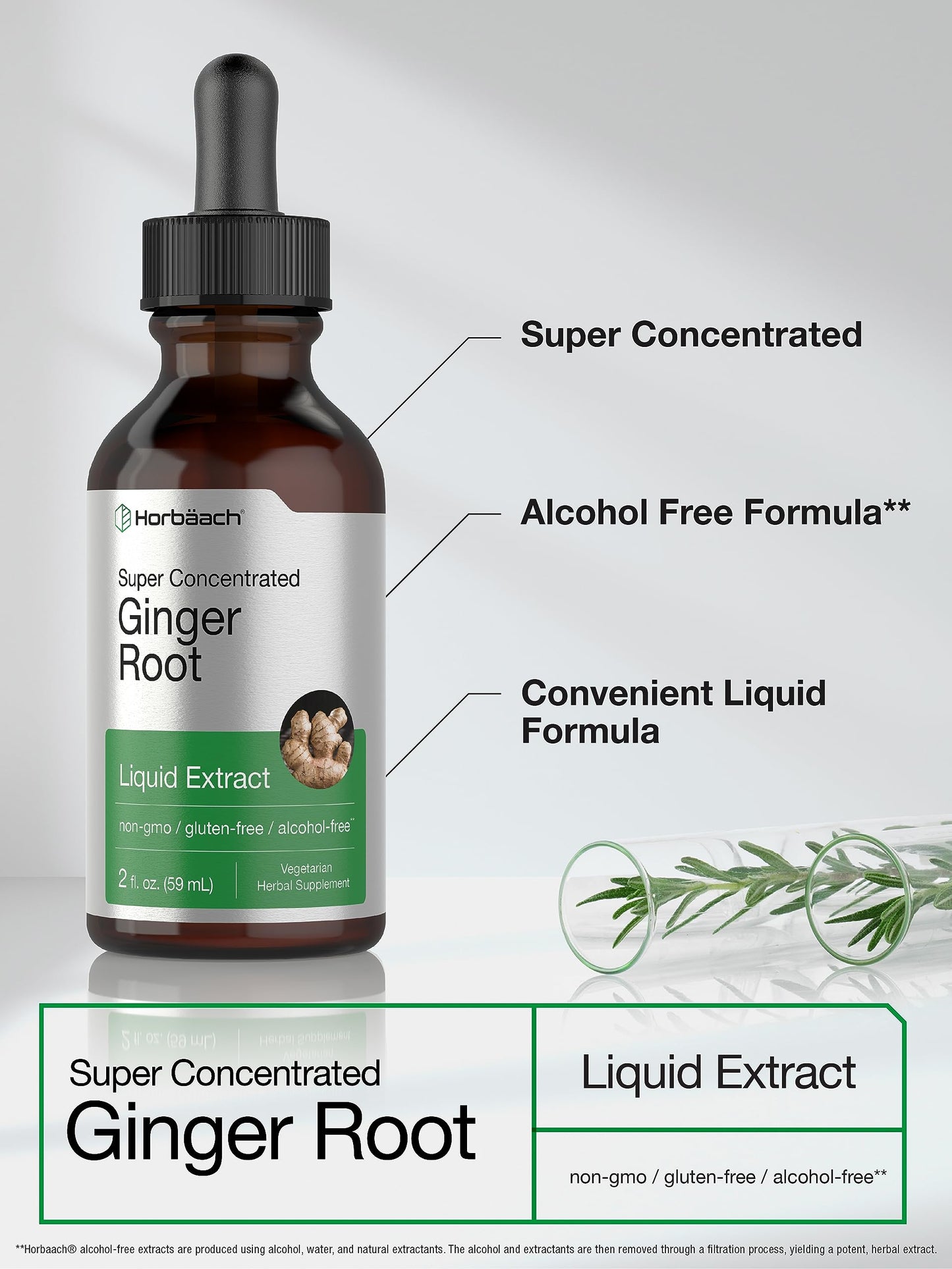 Horbäach Ginger Root Liquid Extract - 2 oz | Alcohol-Free, Gluten-Free, Non-GMO, Vegetarian