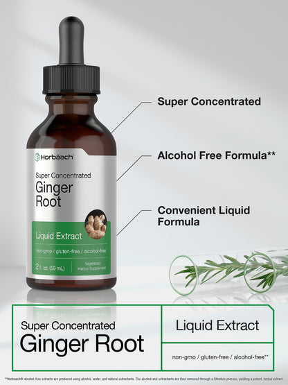 Horbäach Ginger Root Liquid Extract - 2 oz | Alcohol-Free, Gluten-Free, Non-GMO, Vegetarian