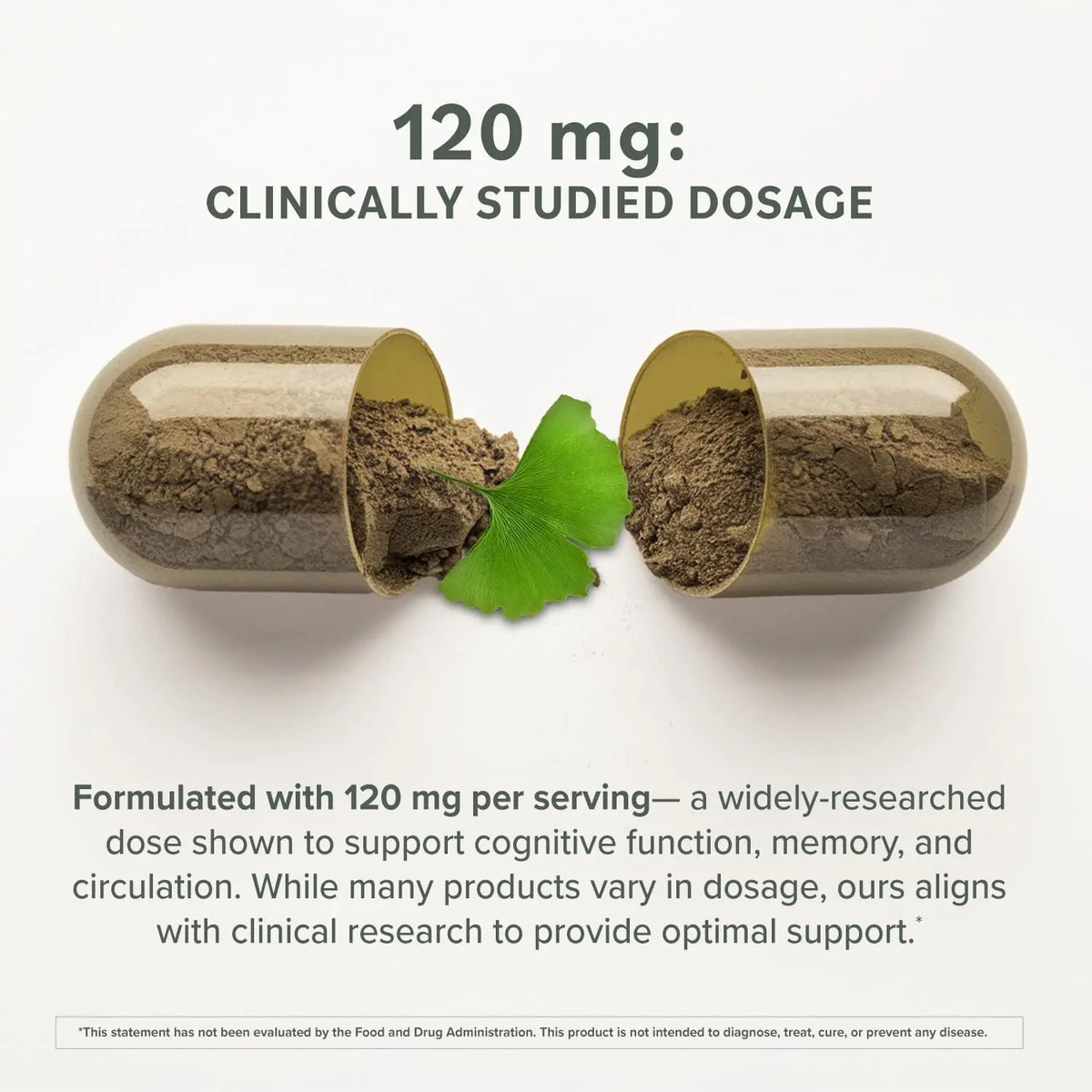Prominent Ginkgo Biloba 120mg - Memory & Focus Support | Vegan, Non-GMO | 2-Pack BritishVita | Premium UK Vitamins & Wellness Supplements