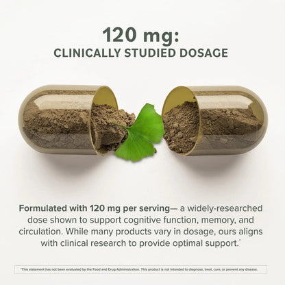 Prominent Ginkgo Biloba 120mg - Memory & Focus Support | Vegan, Non-GMO | 2-Pack BritishVita | Premium UK Vitamins & Wellness Supplements