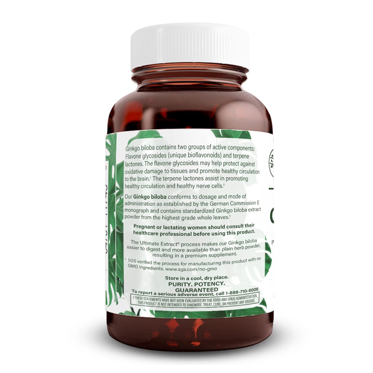 Natural Nutra Ginkgo Biloba – Boosts Memory, Brain Circulation & Focus, Vegan & Gluten Free, 60 Capsules