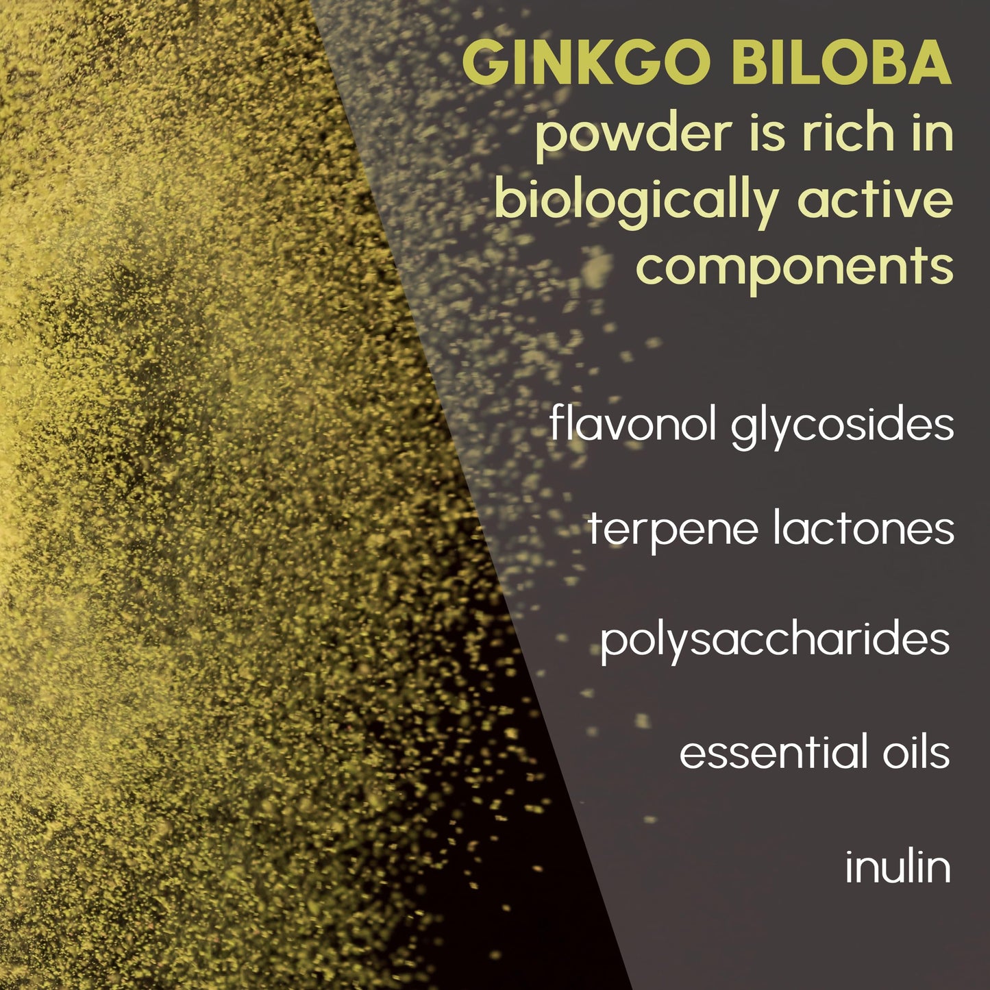 Ginkgo Biloba Powder 8 oz – Pure Natural Supplement for Brain Support & Mental Alertness | Filler Free