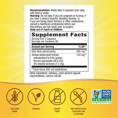 Nature's Way Premium Ginkgo Memory & Concentration – 120 Capsules