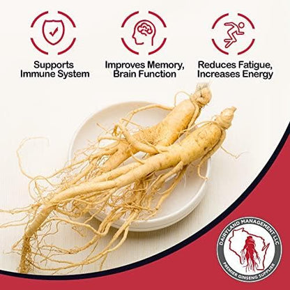 Dairyland American Ginseng Powder - Wisconsin Grown, 4 oz - Non-GMO, Gluten Free
