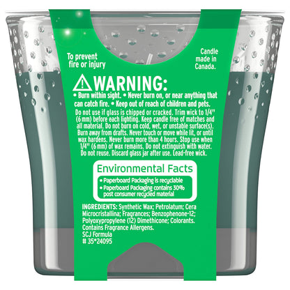 Glade Jar Candles – Pine Wonderland 3.4 oz, 1 Wick | Essential Oils Fragrance
