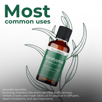 Viva Doria Eucalyptus Essential Oil – 100% Pure, Food Grade, Globulus, 30 mL