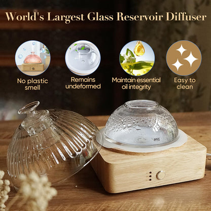 Glass Dome Essential Oil Diffuser - Glass Reservoir, Wood Base, 200ml, Auto-Off Timer