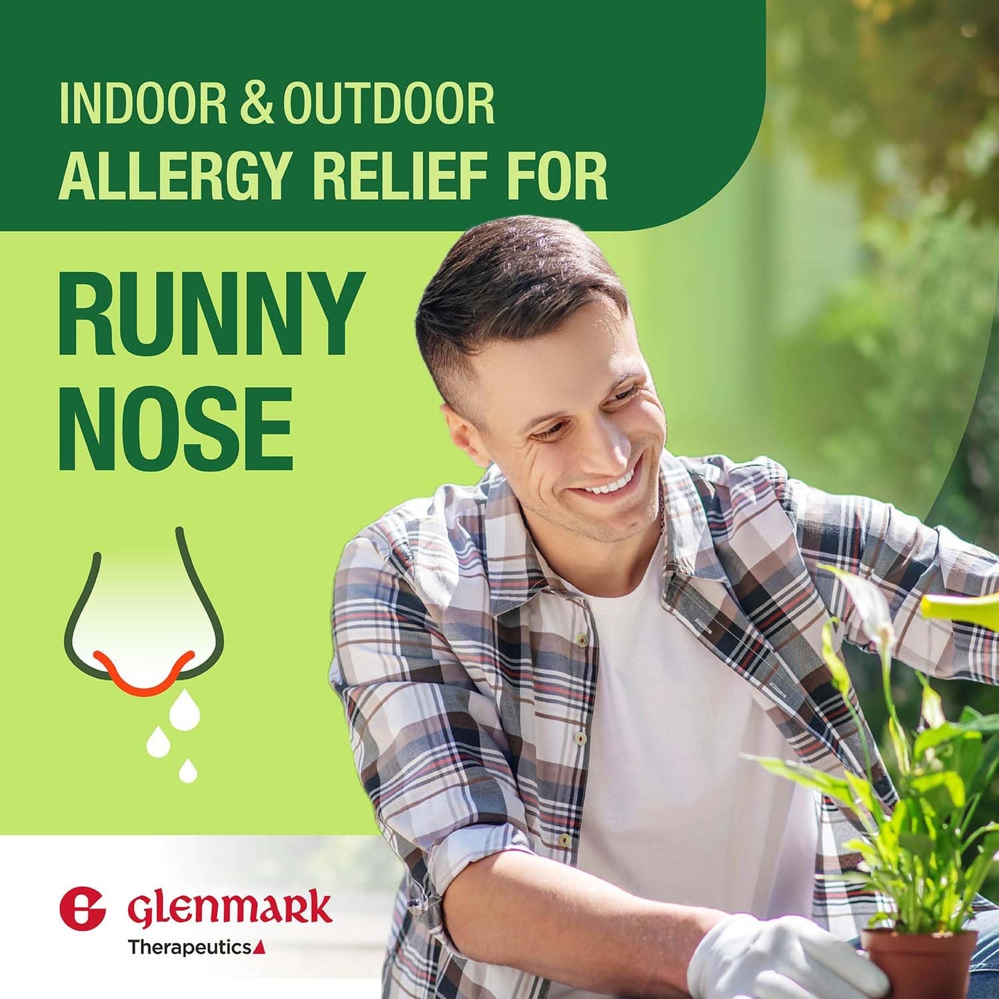 Glenmark Therapeutics Cetirizine 10 mg — 365 Count, 24-Hour Allergy Relief