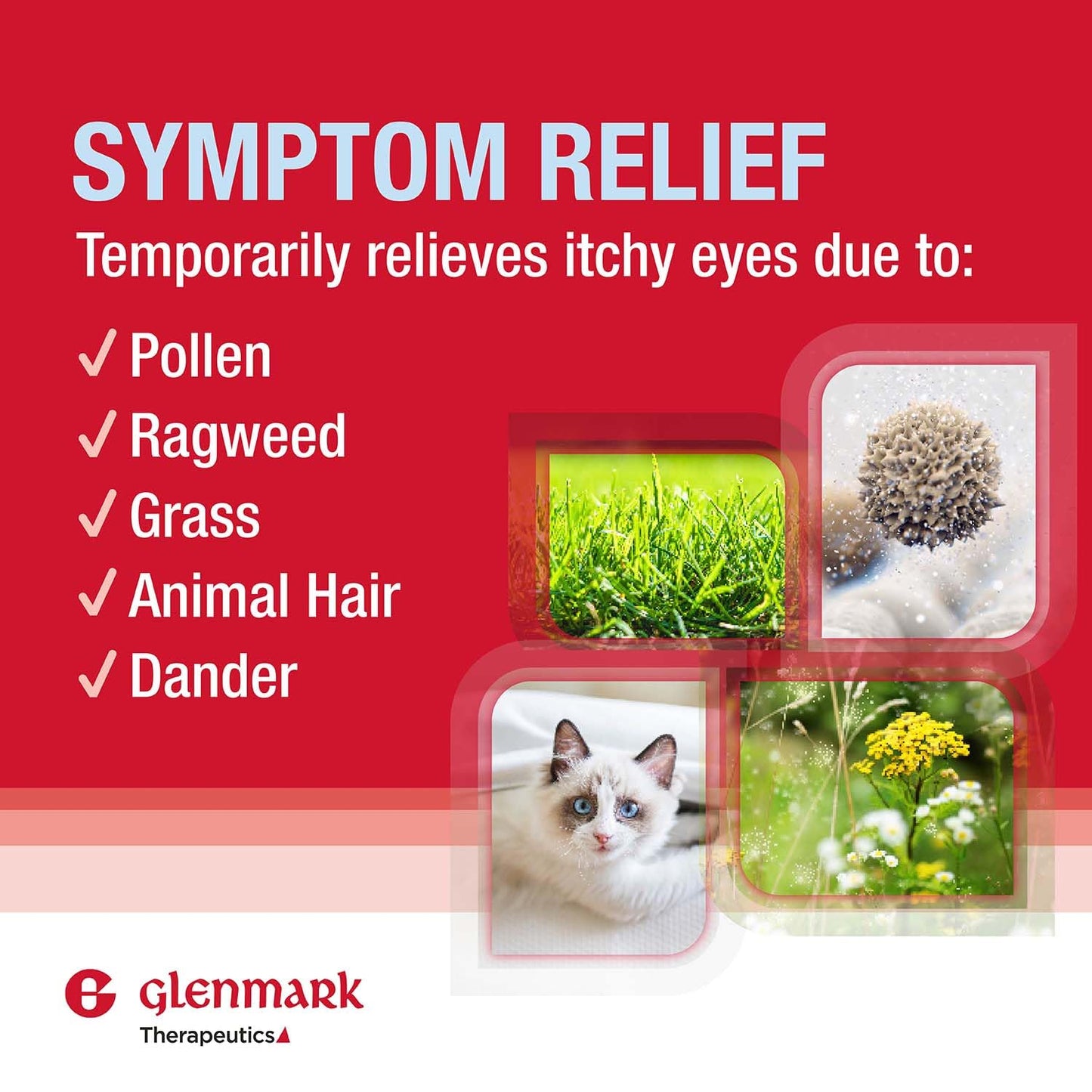Glenmark Therapeutics Olopatadine Eye Drops 0.2% | Fast Allergy Relief for Itchy Eyes