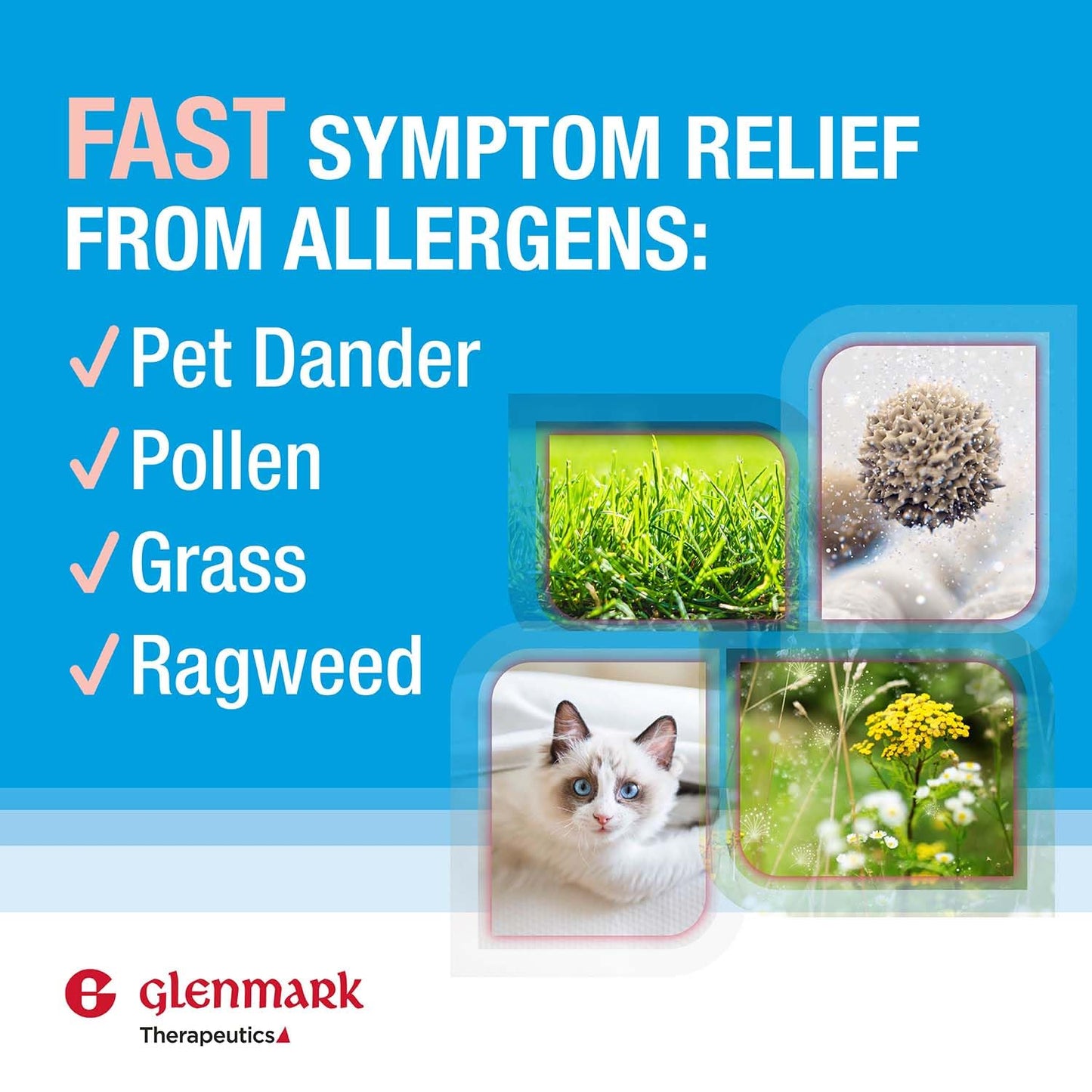 Glenmark Therapeutics Olopatadine Eye Drops – Quick Itch & Redness Relief (0.1%, 5ml)