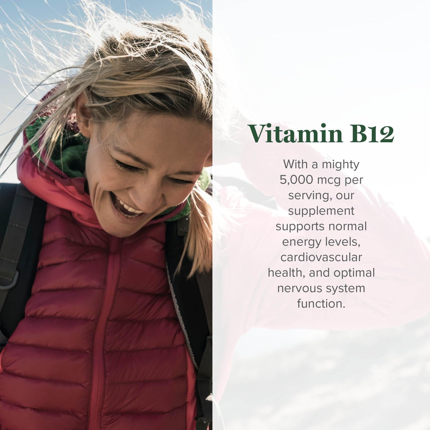 Global Healing Vitamin B12 5000 mcg Sublingual Liquid – Methylcobalamin & Hydroxo Blend, Vegan & Non-GMO (2 oz)