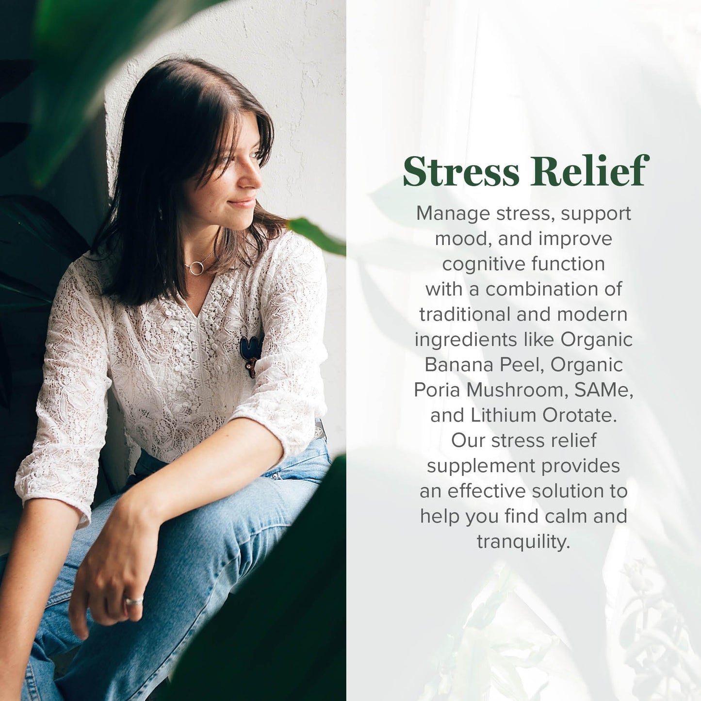 Global Healing Center: Stress Relief with Lithium Orotate (120 Capsules)