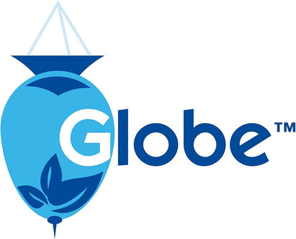 Globe Tolnaftate 1% Cream 6 Pack | Antifungal Treatment for Athlete's Foot & Ringworm | Globe Pharmacy