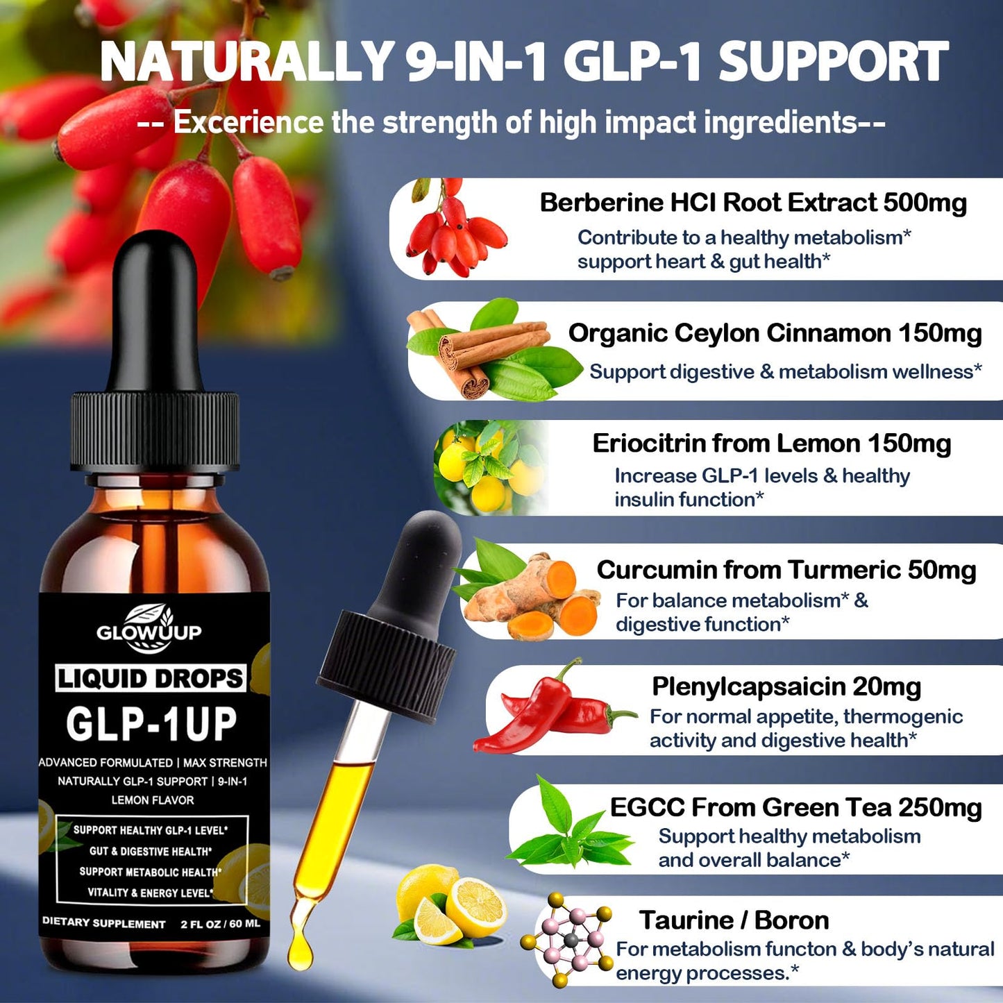 GLP-1 Drops – 9-in-1 GLP-1 Support for Women & Men