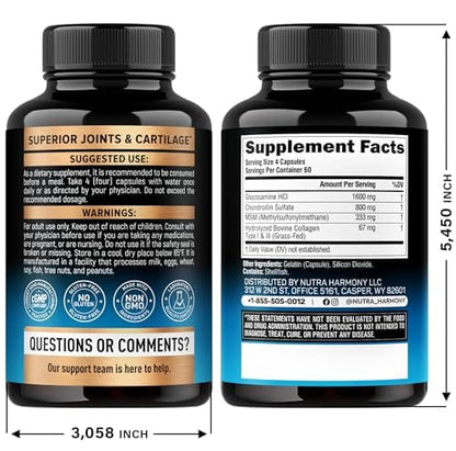 Glucosamine Chondroitin MSM Collagen – Joint Support (240 Caps) | Made in USA