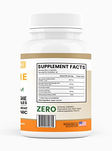 Glucosamine Chondroitin Turmeric MSM for Healthy Joints – 60 Veggie Caps (2-Pack)