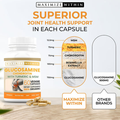Glucosamine Chondroitin Turmeric MSM for Healthy Joints – 60 Veggie Caps (2-Pack)