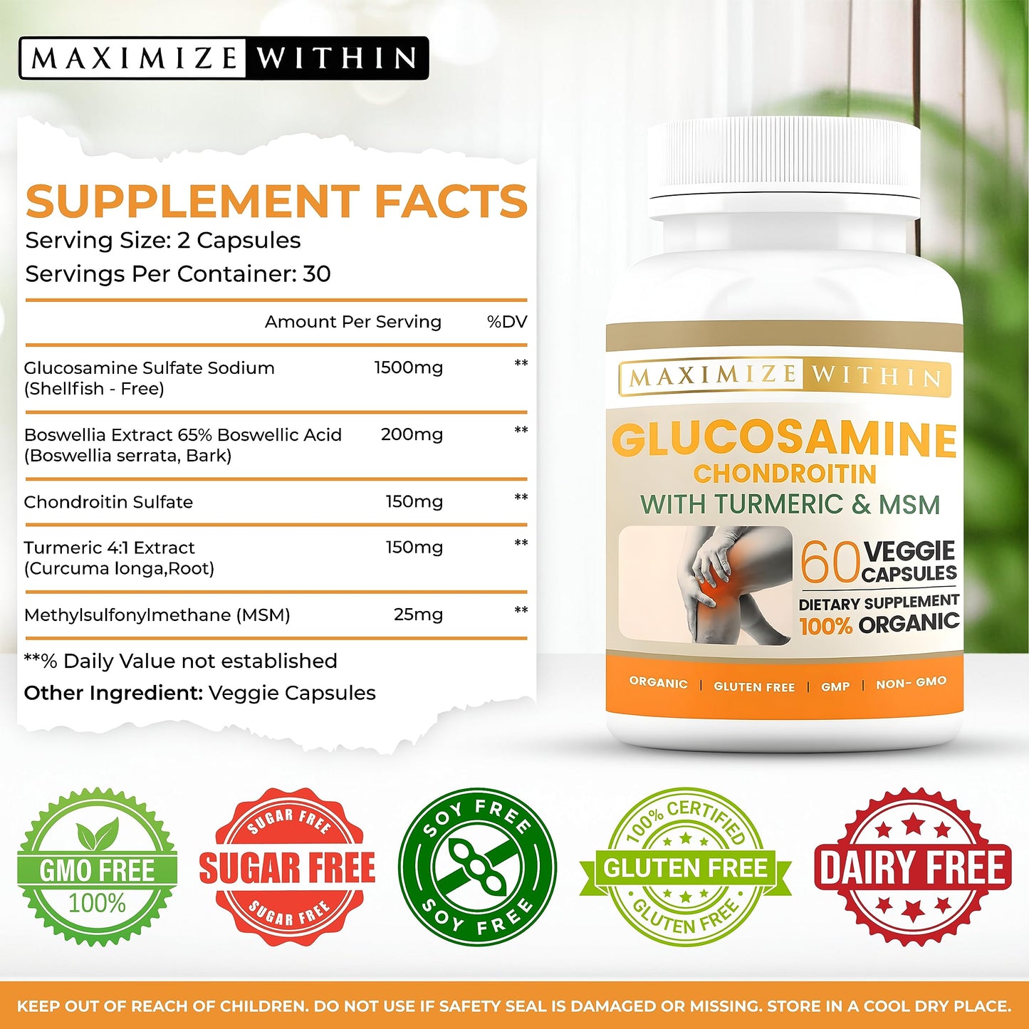 Glucosamine Chondroitin Turmeric MSM for Healthy Joints – 60 Veggie Caps (2-Pack)