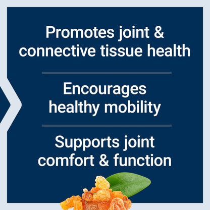 Life Extension ArthroMax Advanced NT2 Collagen & AprèsFlex – Joint Health, Mobility, Gluten-Free, Non-GMO | 60 Capsules