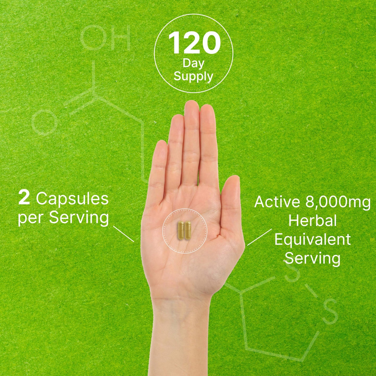 Organic 10-in-1 Mushroom Supplement – 240 Capsules – Immune & Nootropic Support (Non-GMO)