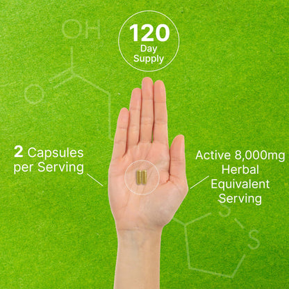 Organic 10-in-1 Mushroom Supplement – 240 Capsules – Immune & Nootropic Support (Non-GMO)