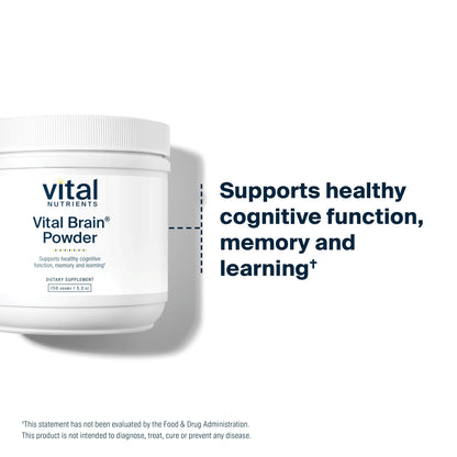 Vital Brain Powder | Vital Nutrients – Phosphatidylserine & Acetyl-L-Carnitine Nootropic