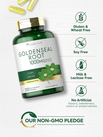 Carlyle Goldenseal Root Capsules 1000mg - 200 Count | Non-GMO & Gluten Free | Traditional Herb Supplement