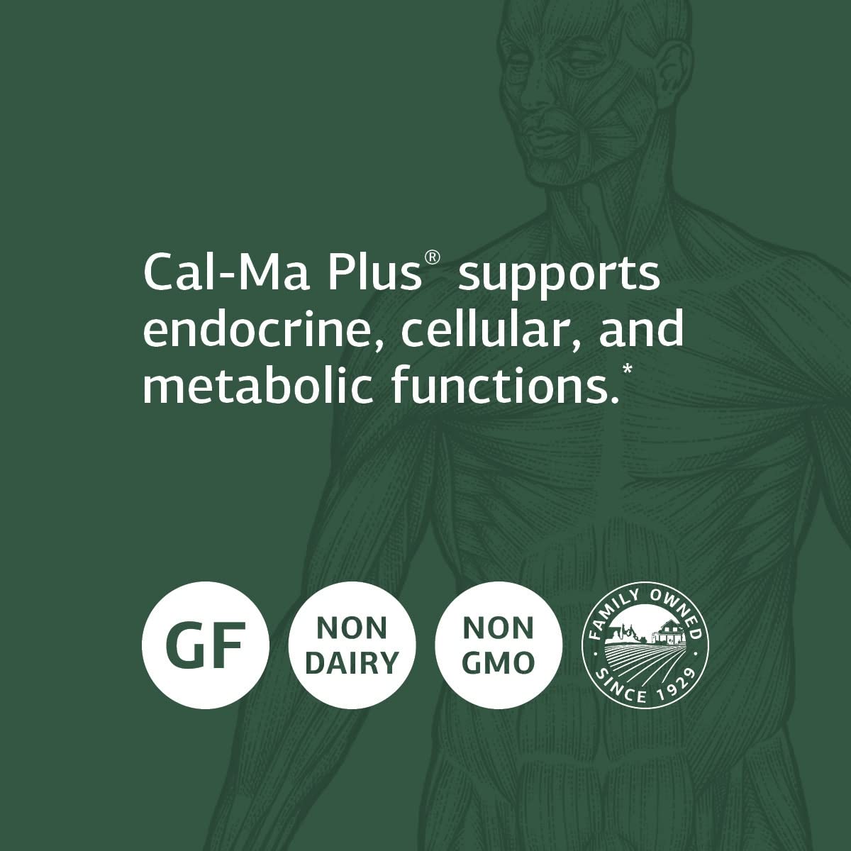 Standard Process Cal-Ma Plus – Calcium Support for Endocrine & Cellular Functions