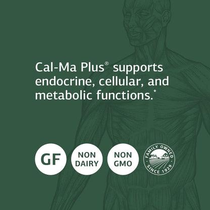 Standard Process Cal-Ma Plus – Calcium Support for Endocrine & Cellular Functions