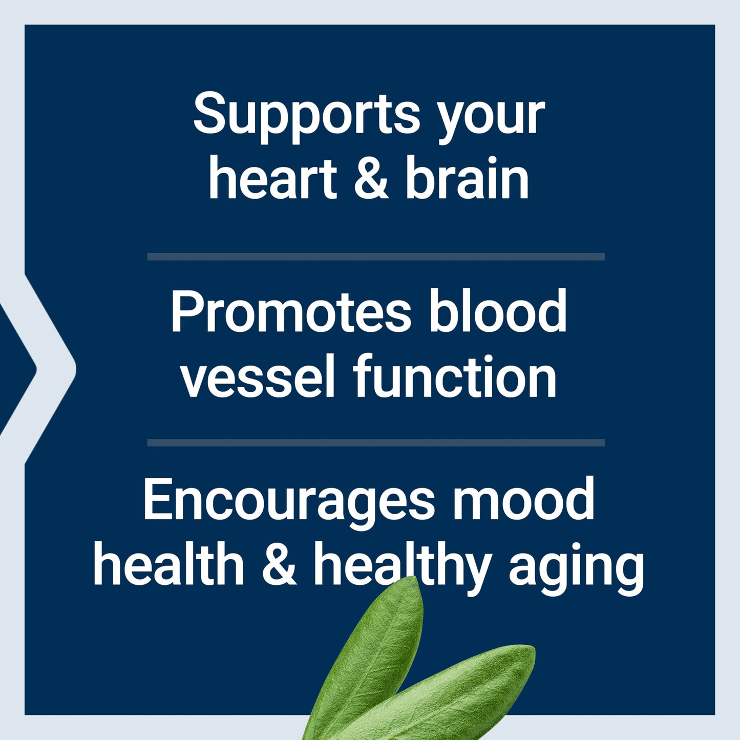 Life Extension Super Omega-3 EPA/DHA with Olive Extract & Sesame Lignans