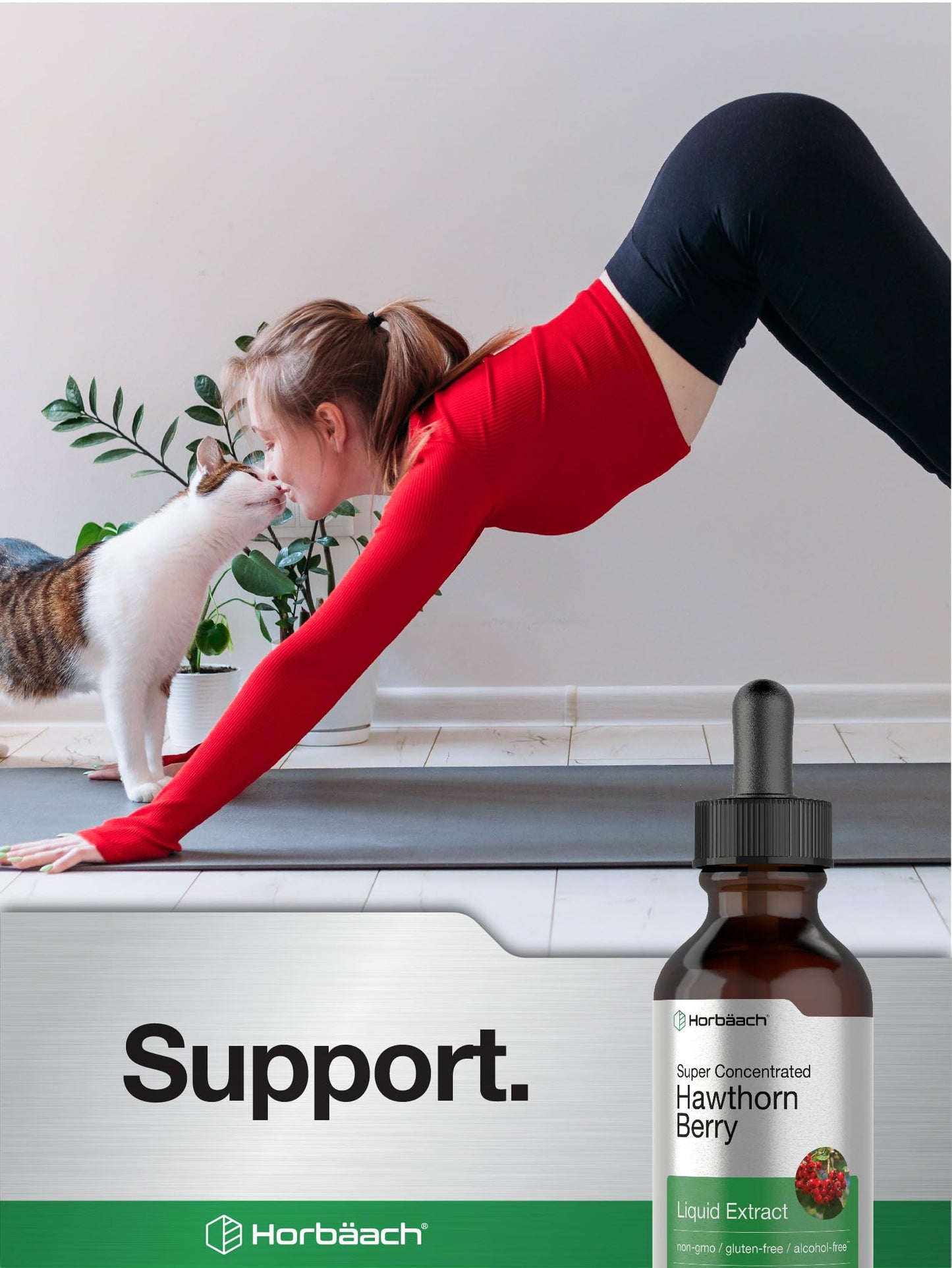 Horbäach Hawthorn Berry Extract | 2 fl oz Alcohol-Free Tincture | Vegetarian, Non-GMO, Gluten Free