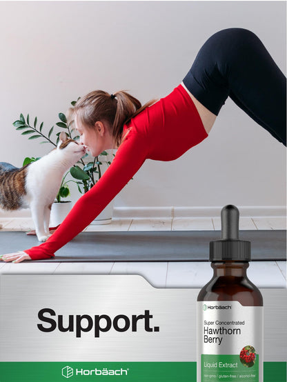 Horbäach Hawthorn Berry Extract | 2 fl oz Alcohol-Free Tincture | Vegetarian, Non-GMO, Gluten Free
