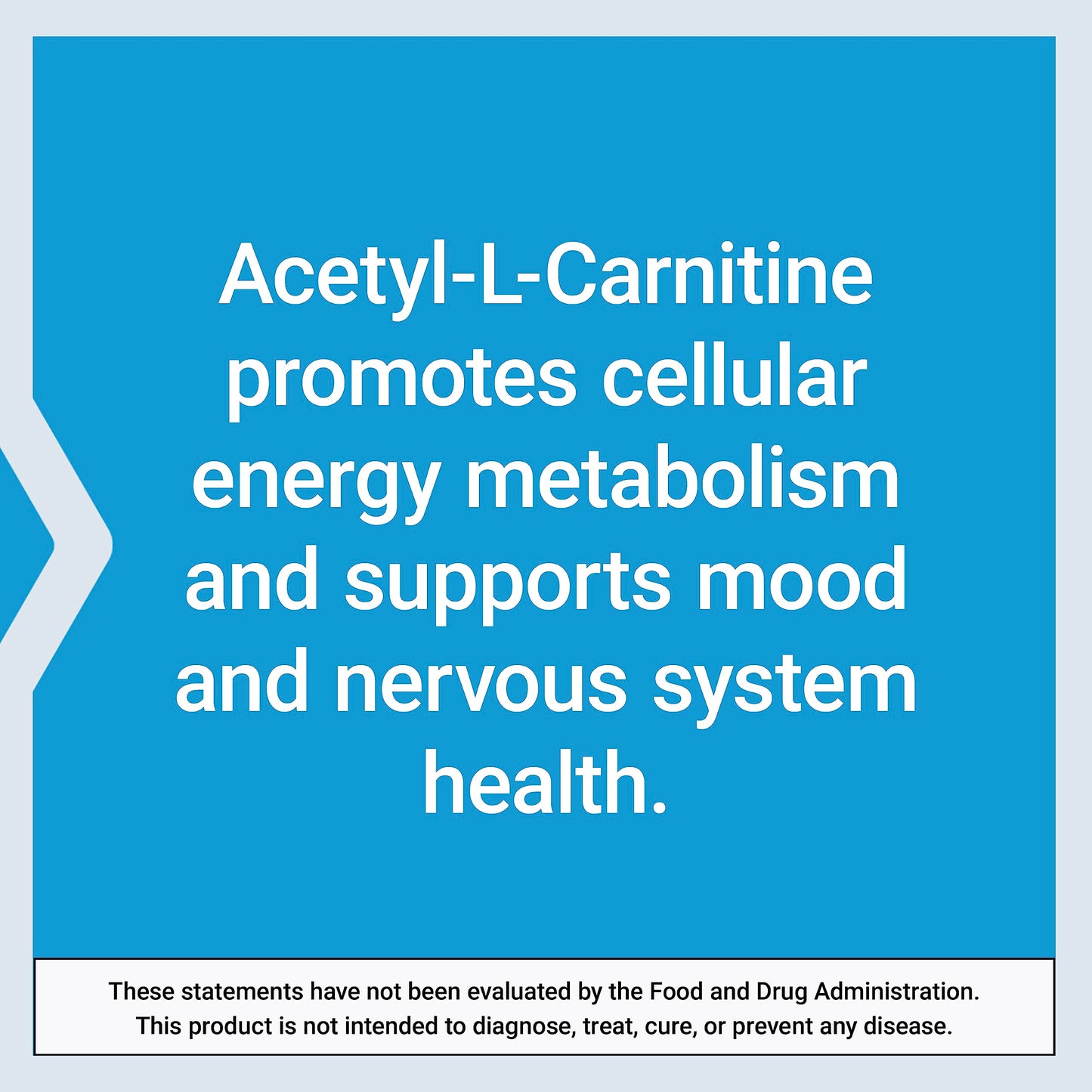 Acetyl-L-Carnitine with Vitamin C for Brain & Nerve Health | 3-Month Supply | Gluten-Free, Non-GMO, Vegetarian | 100 Capsules